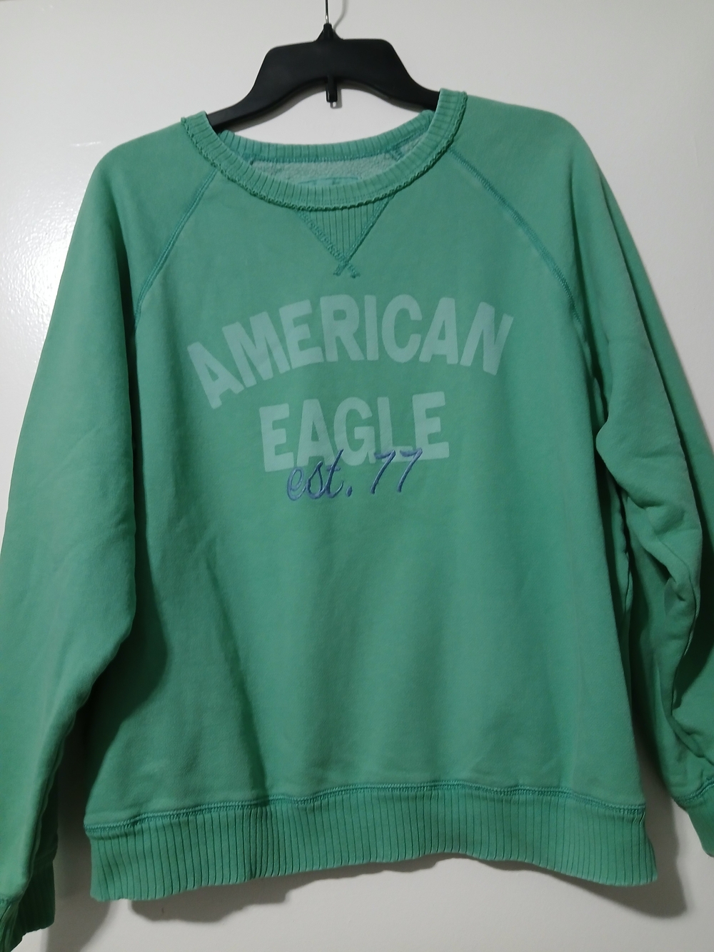 American Eagle Mint Green Crewneck Sweatshirt